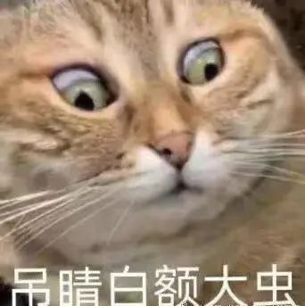 佛的表情,到底能有多丰富? 博文精选 盐味鸡肉串 崇真艺客